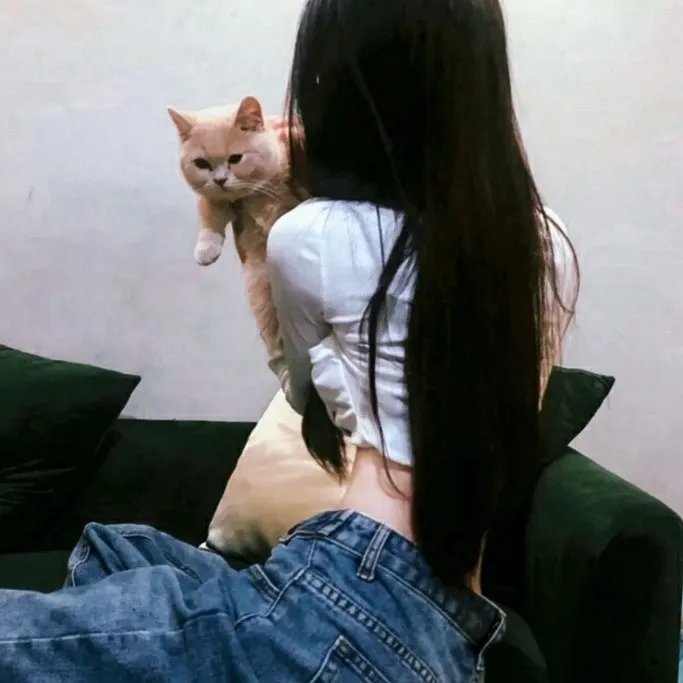 简·爱