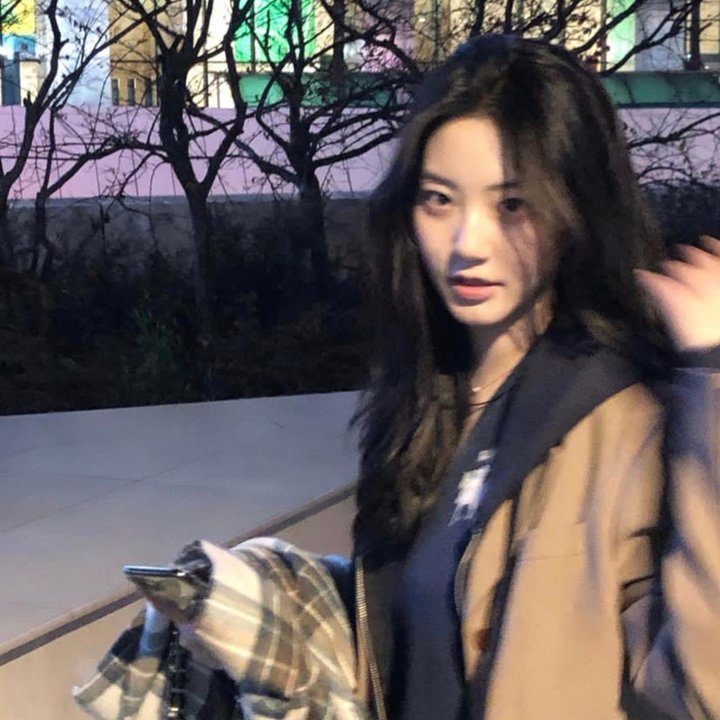 蒂莫西的奇异生活