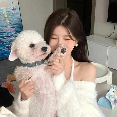 智慧风暴